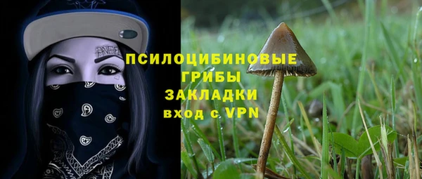 сатива Богданович