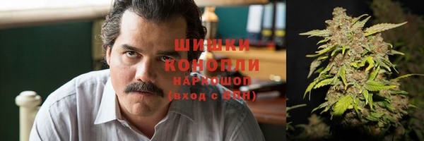 гидропоника Богородск