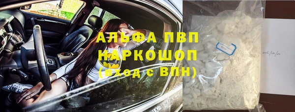 сатива Богданович
