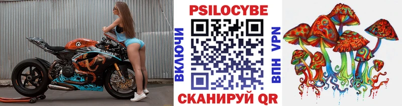 Купить Комсомольск Псилоцибиновые грибы мицелий